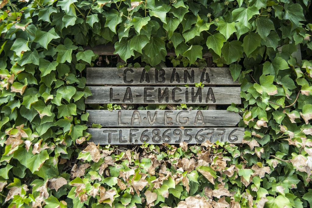 Cabana De Madera La Encina Burunchel Eksteriør bilde